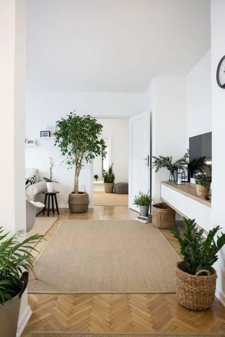 Apartment Myhome 자그레브 외부 사진
